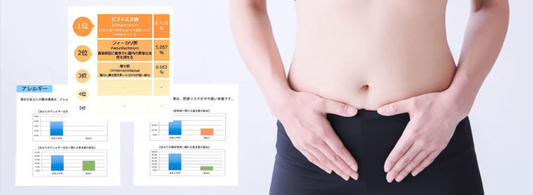 puremium-midashi2