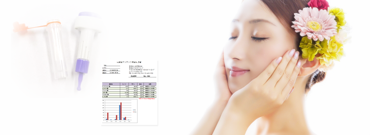 puremium-midashi3
